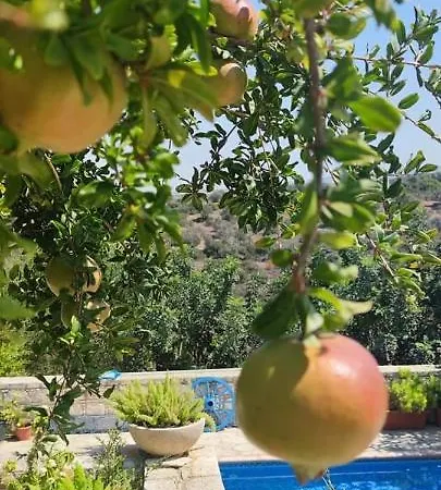 Country house Aliki's House 1+ 2 *