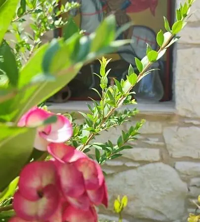 Aliki's House 1+ 2 * Polis