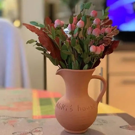 Aliki's House 1+ 2 Εξοχικό σπίτι Πόλη