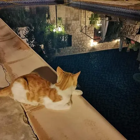 Aliki's House 1+ 2 *