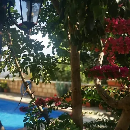 Aliki's House 1+ 2 Εξοχικό σπίτι Πόλη