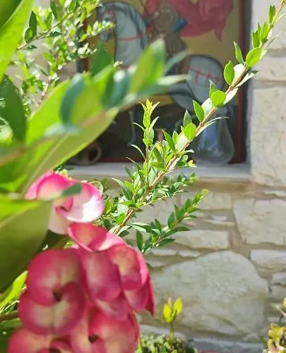 Aliki's House 1+ 2 * Polis