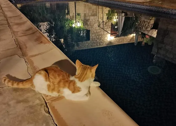 Aliki's House 1+ 2 *