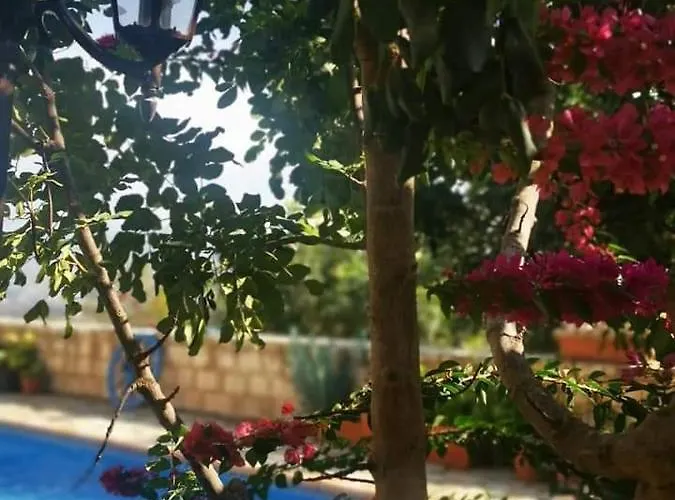 Aliki's House 1+ 2 Lantställe Polis